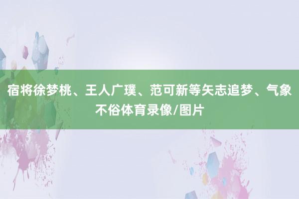 宿将徐梦桃、王人广璞、范可新等矢志追梦、气象不俗体育录像/图