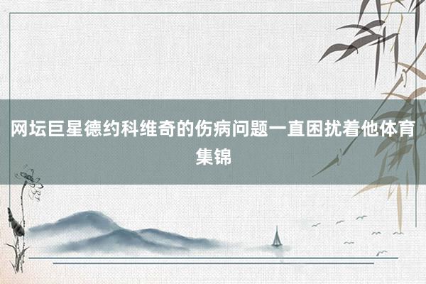 网坛巨星德约科维奇的伤病问题一直困扰着他体育集锦