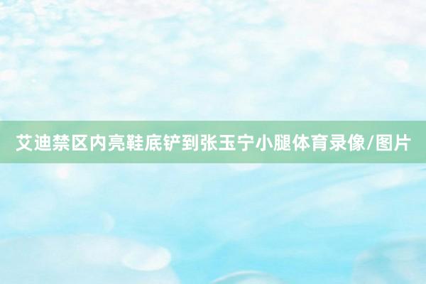 艾迪禁区内亮鞋底铲到张玉宁小腿体育录像/图片 艾迪禁区内亮鞋底铲到张玉宁小腿体育录像/图片