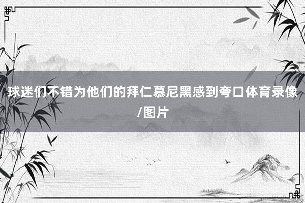 球迷们不错为他们的拜仁慕尼黑感到夸口体育录像/图片