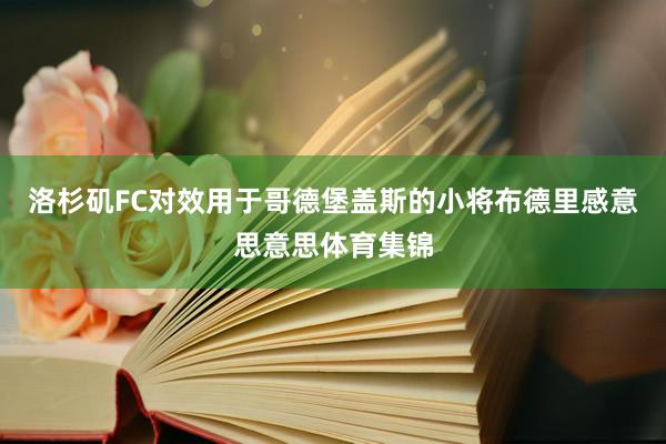 洛杉矶FC对效用于哥德堡盖斯的小将布德里感意思意思体育集锦