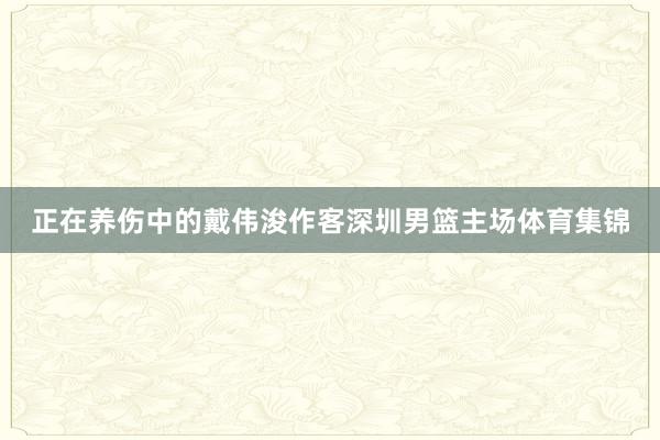 正在养伤中的戴伟浚作客深圳男篮主场体育集锦