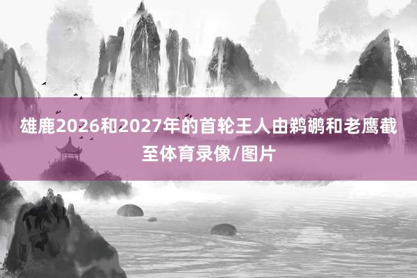 雄鹿2026和2027年的首轮王人由鹈鹕和老鹰截至体育录像/图片