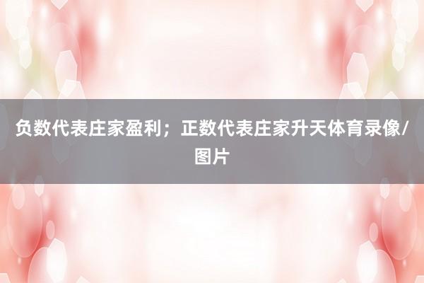 负数代表庄家盈利；正数代表庄家升天体育录像/图片