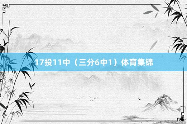 17投11中（三分6中1）体育集锦