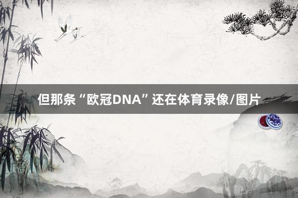 但那条“欧冠DNA”还在体育录像/图片