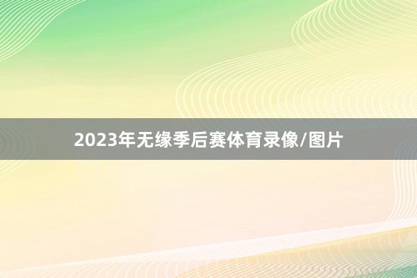 2023年无缘季后赛体育录像/图片