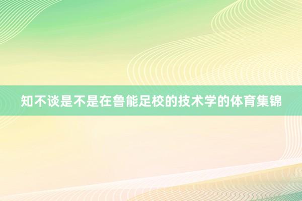 知不谈是不是在鲁能足校的技术学的体育集锦
