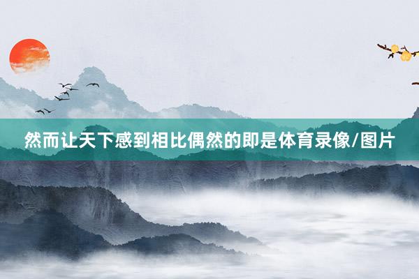 然而让天下感到相比偶然的即是体育录像/图片