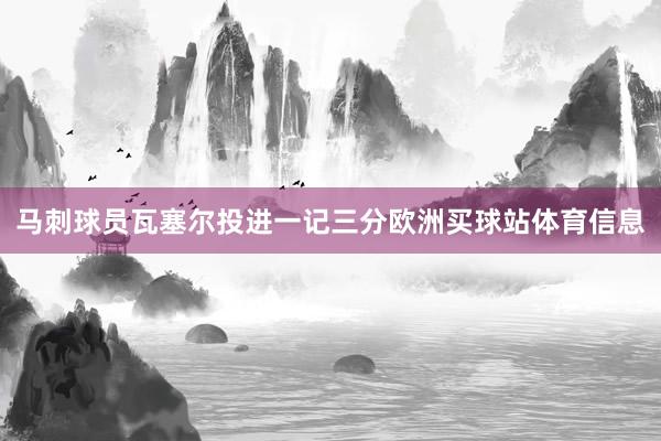 马刺球员瓦塞尔投进一记三分欧洲买球站体育信息