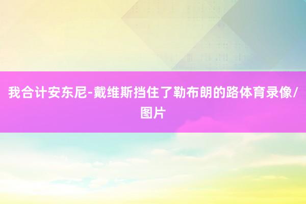 我合计安东尼-戴维斯挡住了勒布朗的路体育录像/图片