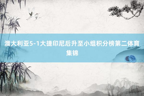 澳大利亚5-1大捷印尼后升至小组积分榜第二体育集锦