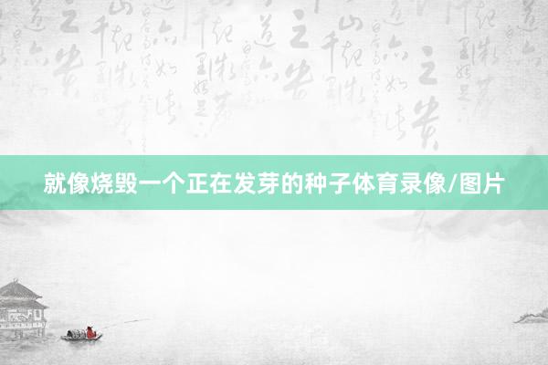 就像烧毁一个正在发芽的种子体育录像/图片
