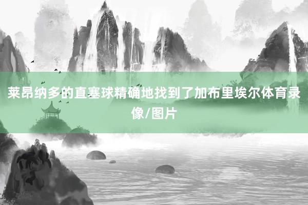 莱昂纳多的直塞球精确地找到了加布里埃尔体育录像/图片