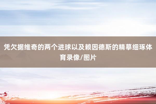 凭欠据维奇的两个进球以及赖因德斯的精摹细琢体育录像/图片