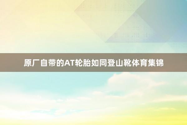原厂自带的AT轮胎如同登山靴体育集锦