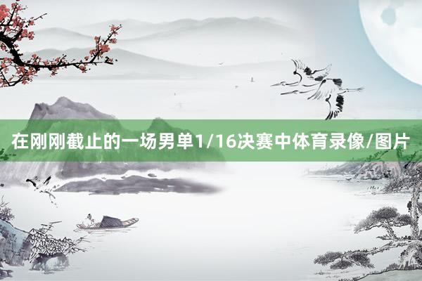 在刚刚截止的一场男单1/16决赛中体育录像/图片