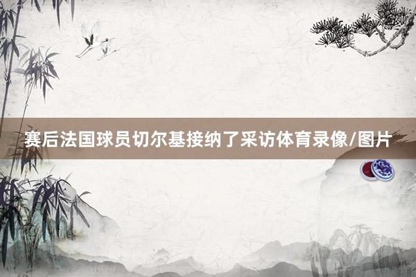 赛后法国球员切尔基接纳了采访体育录像/图片