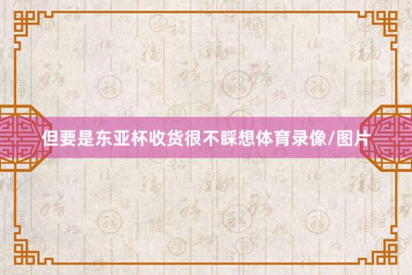 但要是东亚杯收货很不睬想体育录像/图片