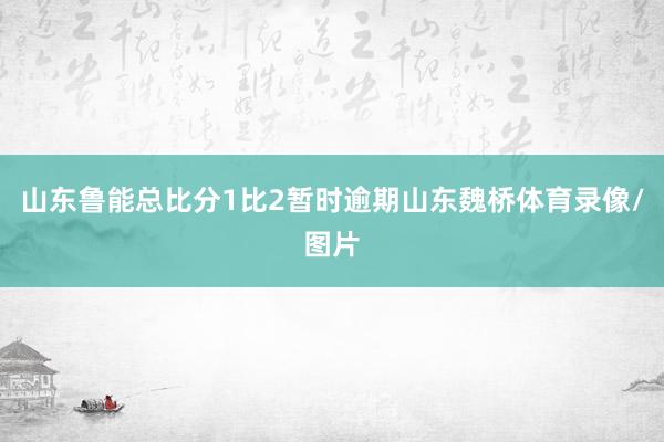 山东鲁能总比分1比2暂时逾期山东魏桥体育录像/图片
