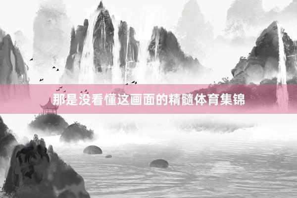 那是没看懂这画面的精髓体育集锦