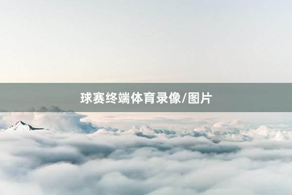 球赛终端体育录像/图片