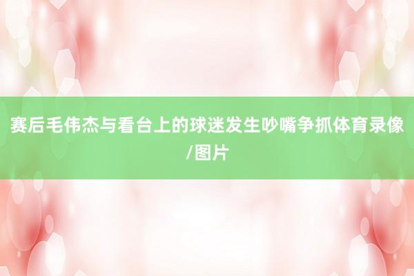 赛后毛伟杰与看台上的球迷发生吵嘴争抓体育录像/图片