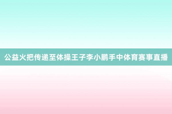公益火把传递至体操王子李小鹏手中体育赛事直播