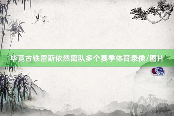 毕竟古铁雷斯依然离队多个赛季体育录像/图片