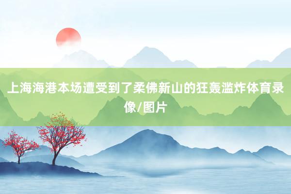 上海海港本场遭受到了柔佛新山的狂轰滥炸体育录像/图片