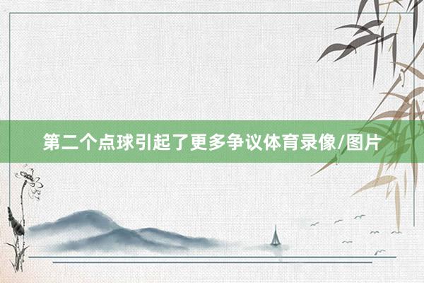 第二个点球引起了更多争议体育录像/图片