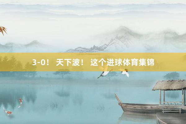 3-0！ 天下波！ 这个进球体育集锦