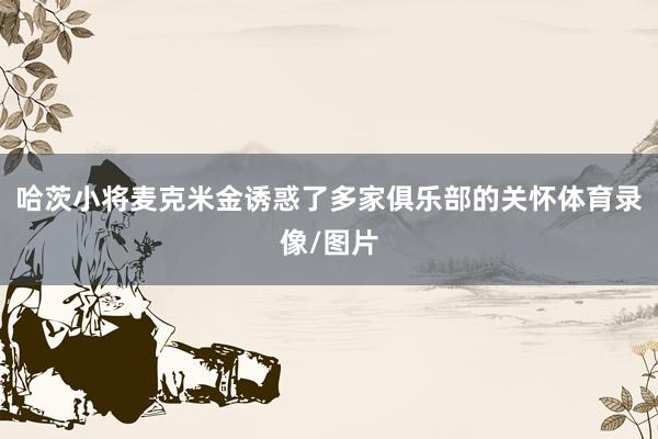 哈茨小将麦克米金诱惑了多家俱乐部的关怀体育录像/图片