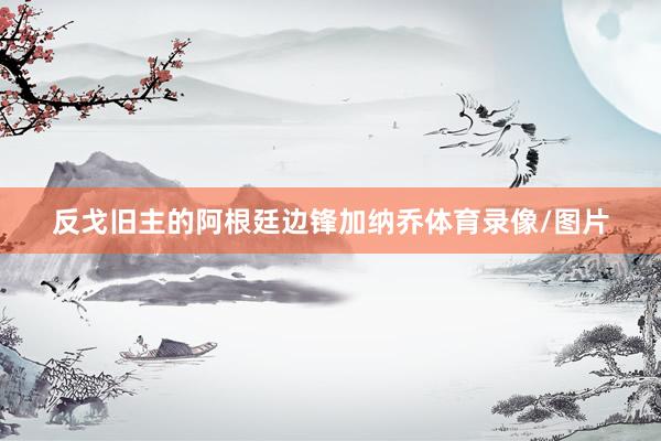 反戈旧主的阿根廷边锋加纳乔体育录像/图片