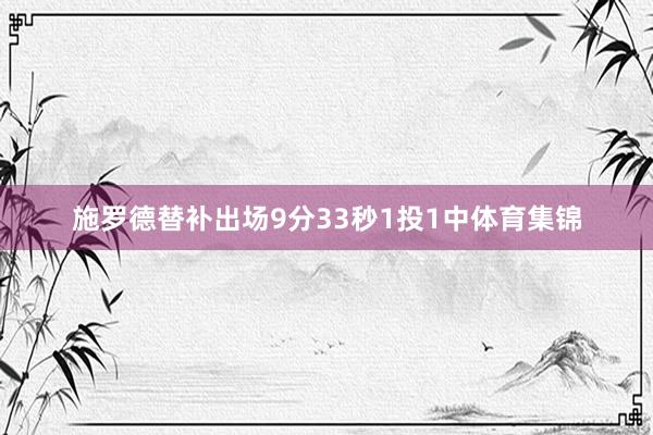 施罗德替补出场9分33秒1投1中体育集锦